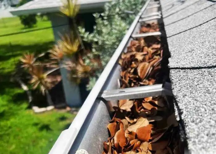 Gutter Cleaning Parkton home page